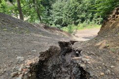 W Lipniku rozstąpiła się ziemia. Niecodzienne zjawisko ujawnili mieszkańcy ZDJĘCIA