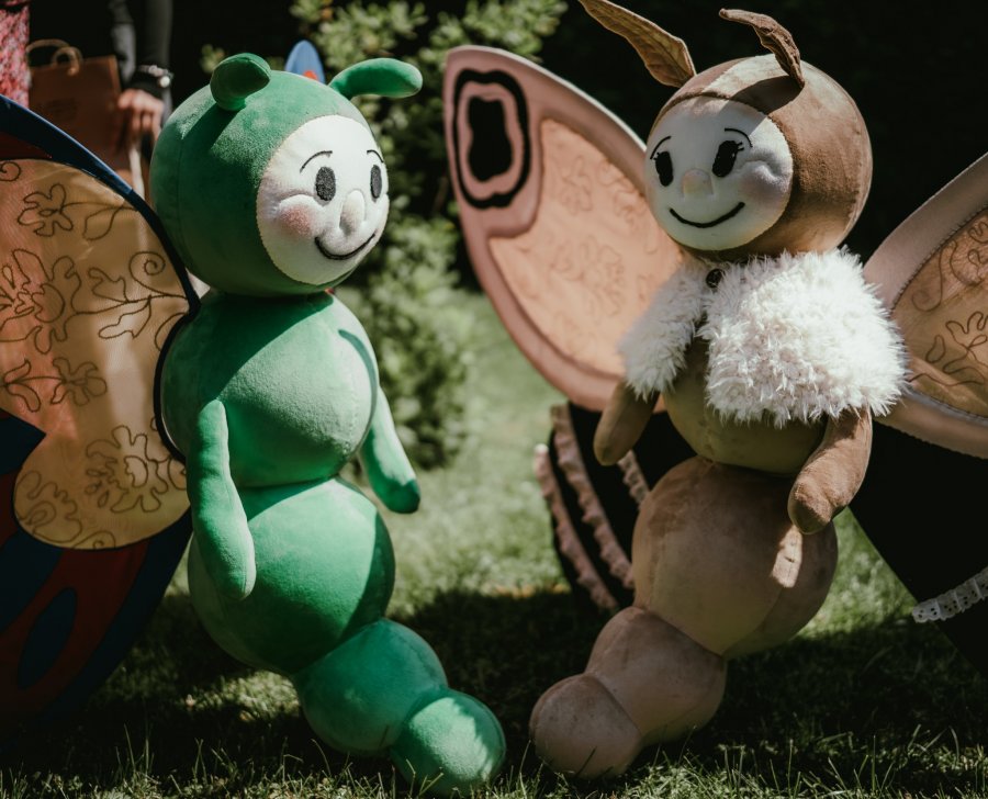 Oficjalne maskotki zostały wybrane. Dwa motylki będą promować Bielsko-Białą - foto