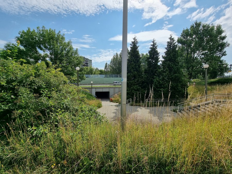 Tunel na osiedlu porasta chwastami. Do skoszenia trawy konieczne jest pismo radnego? - foto