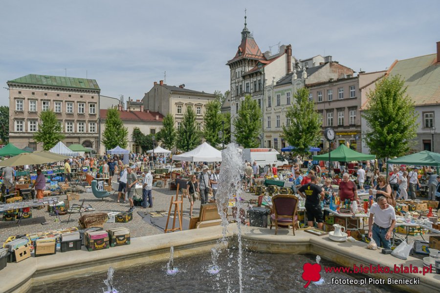 Spada liczba poszukiwaczy skarbów. Mniejsza frekwencja przez sezon urlopowy? ZDJĘCIA