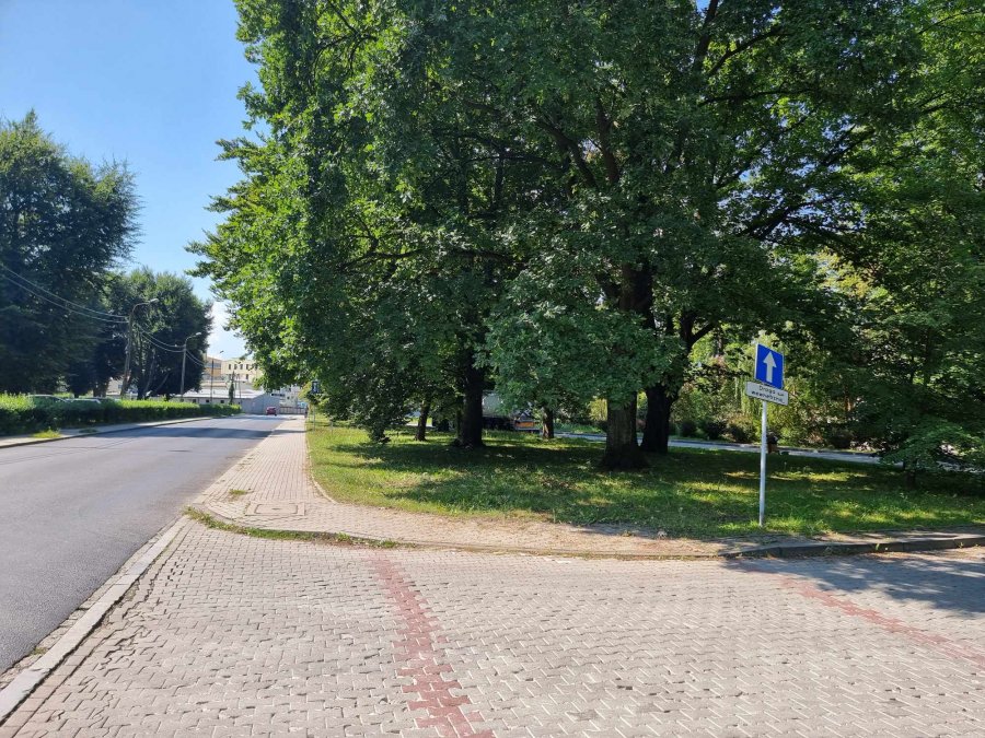 Wybudują parking obok Parku Włókniarzy. Trzeba będzie wyciąć kilkanaście drzew - foto