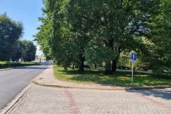 Wybudują parking obok Parku Włókniarzy. Trzeba będzie wyciąć kilkanaście drzew - foto