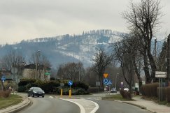 To koniec pozyskiwania drewna w Beskidach? Będzie las społeczny wokół Bielska-Białej!