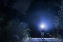 Nocą okolice patrolują... sąsiedzi. Psychoza nieuzasadnionego strachu?