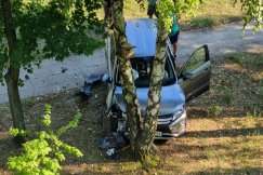 Zaparkował auto na... drzewie. Solidna kraksa na bielskim osiedlu - foto