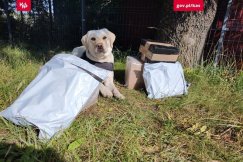 Administracja skarbowa z kontrolą w bielskiej firmie. Zajęto nielegalny towar - foto