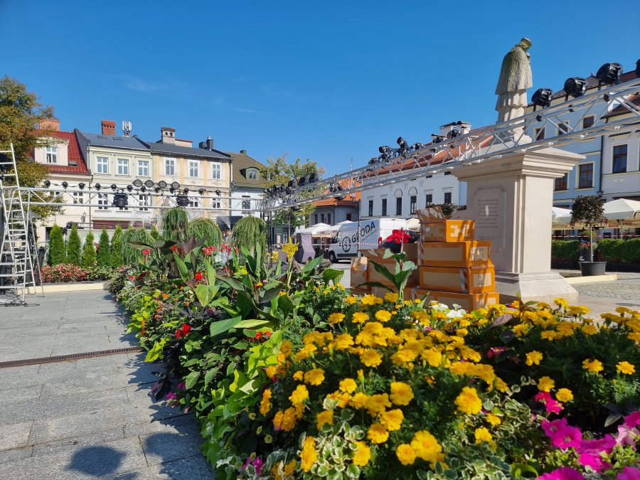 Rynek utonął w kwiatach. Trwają zaawansowane przygotowania do święta - foto