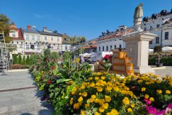 Rynek utonął w kwiatach. Trwają zaawansowane przygotowania do święta - foto