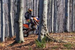 Koniec ostrej jazdy? „Zatrzymamy bezkarne rajdy po lasach”