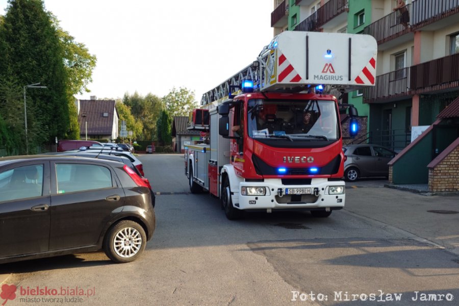 Oświadczył policjantom, że… czasem siada na parapecie. Wszystkie służby w akcji - foto