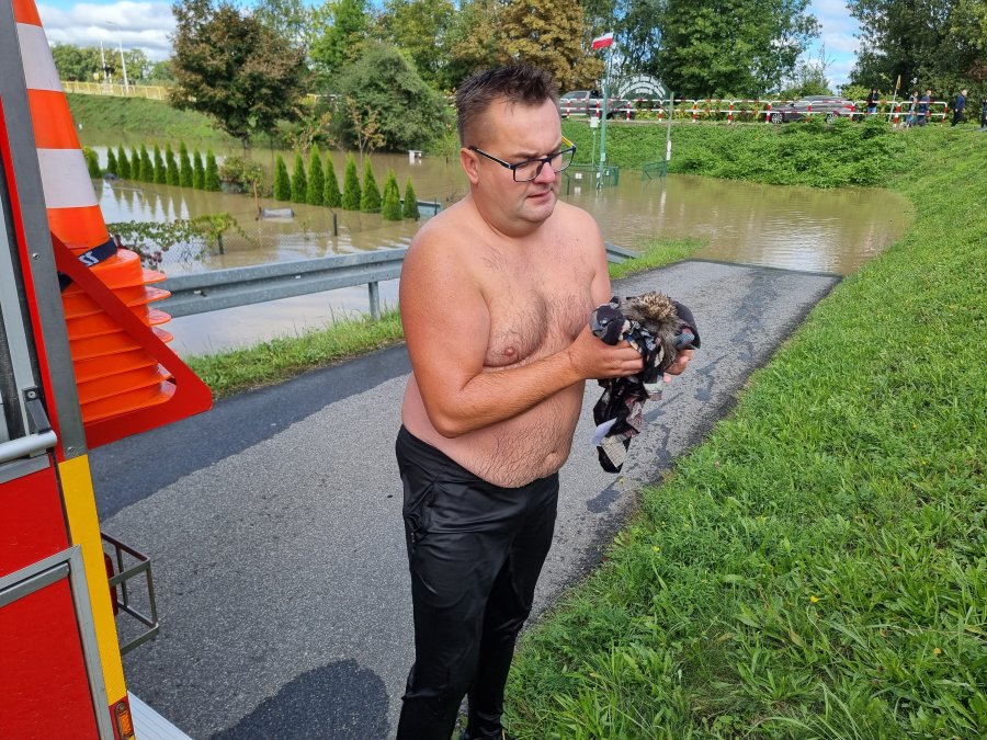 Wskoczył do wody i uratował... zwierzę. Bohaterski czyn mieszkańca - foto