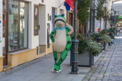 Ogromna żaba krąży po bielskich ulicach. Płażej poznaje miasto swojego dziadka - foto