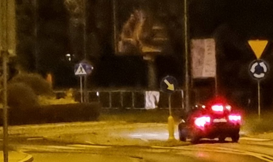 Domorośli rajdowcy w ryczących maszynach. Nie ma na nich siły? - foto