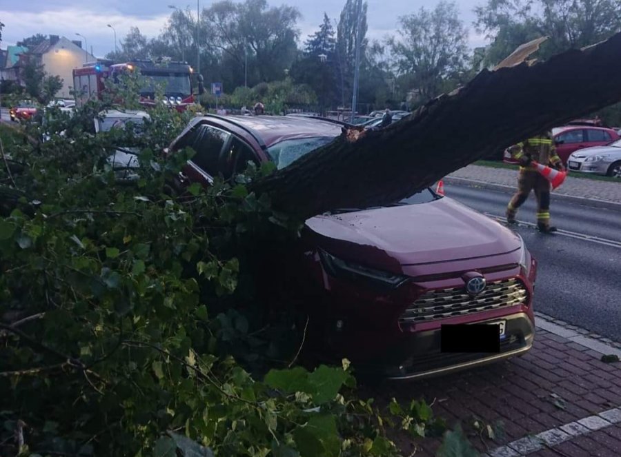 Halny dał się we znaki. Na bielskim osiedlu drzewo spadło na samochód - foto