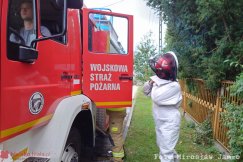 Potężne gniazda os na strychu. Zagrożenie zneutralizowali wojskowi strażacy - foto