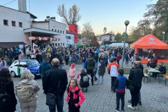 Rodzinny piknik w Kamienicy. Świetnie się bawili i licytowali na potrzeby szkoły - foto i film