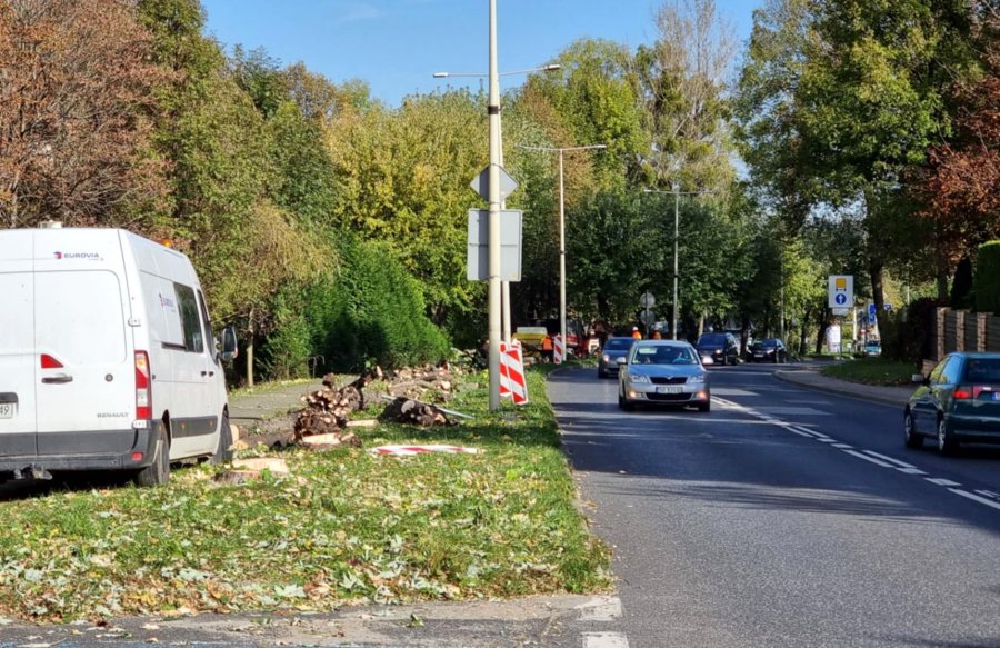Ruszyła wycinka drzew pod rozbudowę ulicy. Najpierw zrobią bypass, a potem ścieżkę rowerową