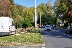 Ruszyła wycinka drzew pod rozbudowę ulicy. Najpierw zrobią bypass, a potem ścieżkę rowerową