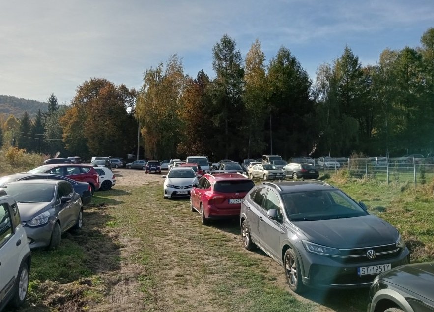 Parkują na każdym skrawku trawnika. Mandaty liczone w setkach, ale to nie przynosi skutku
