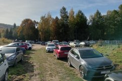 Parkują na każdym skrawku trawnika. Mandaty liczone w setkach, ale to nie przynosi skutku