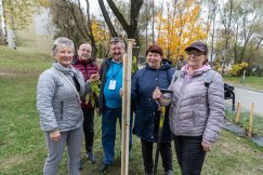 „Zielone płuca” na bielskim osiedlu. Aktywiście posadzili 45 drzew - foto