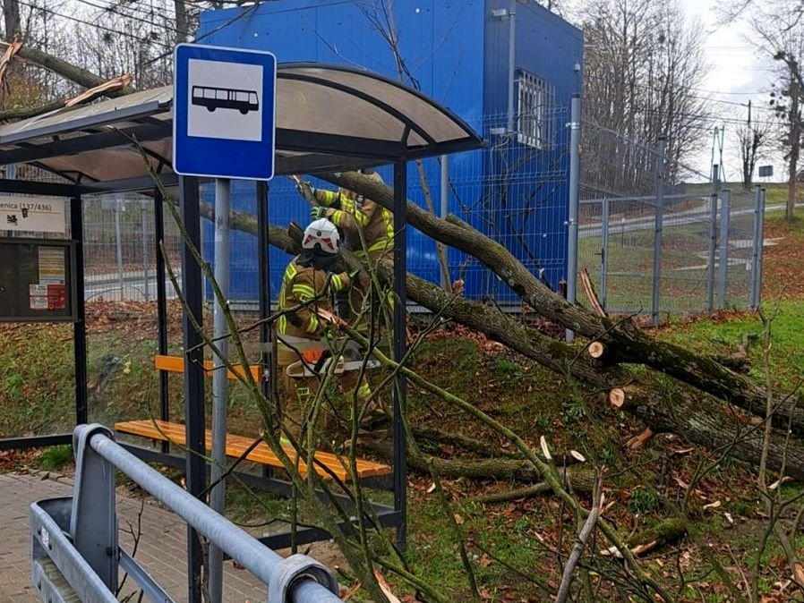 Silny wiatr daje o sobie znać w całym regionie. Drzewo spadło na przystanek w Kamienicy - foto