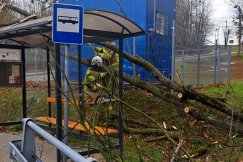 Silny wiatr daje o sobie znać w całym regionie. Drzewo spadło na przystanek w Kamienicy - foto