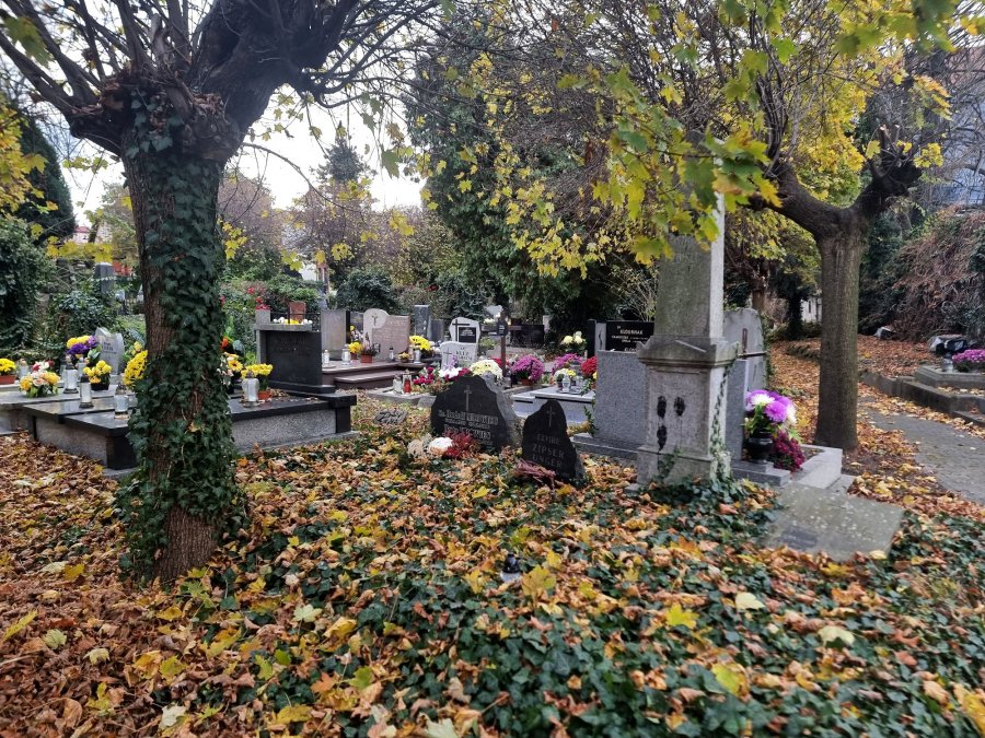 Cmentarz jak tajemniczy ogród. Ale trzeba wiedzieć, jak zdobyć klucz - foto