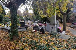 Cmentarz jak tajemniczy ogród. Ale trzeba wiedzieć, jak zdobyć klucz - foto
