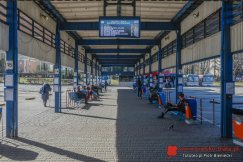 Wyprosił pasażerów i odmówił dalszej jazdy? Przewoźnik wyjaśnia nieprzyjemny incydent