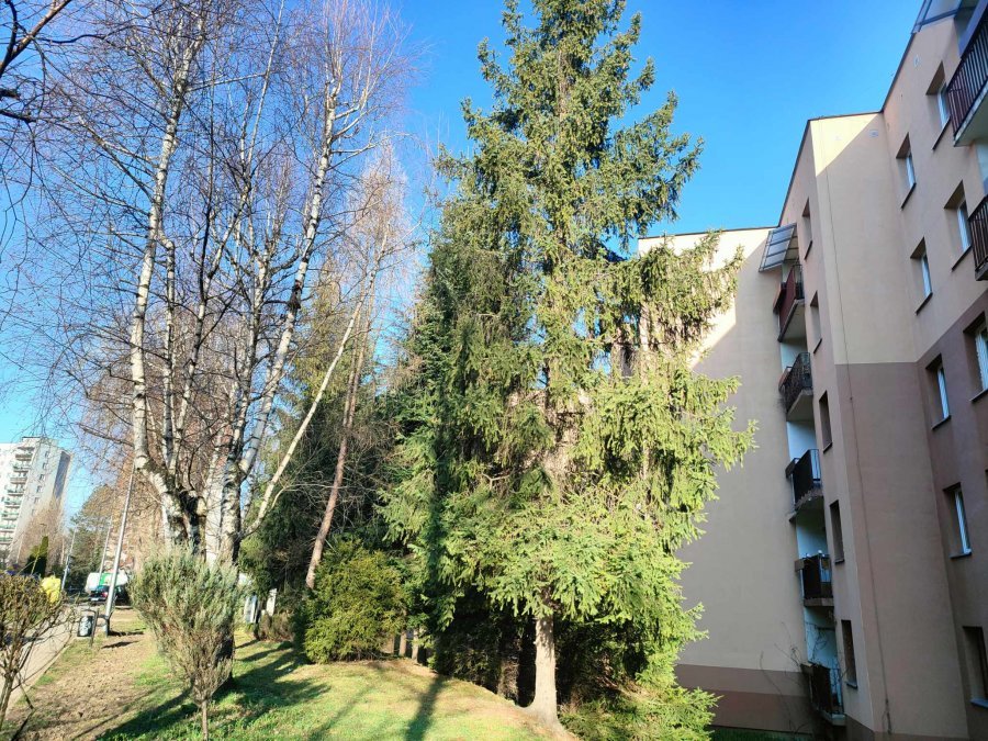 Finał sporu na bielskich osiedlach. W obu przypadkach nie ma zgody urzędników - foto