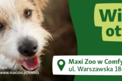 Maxi Zoo otwiera trzeci sklep w Bielsku-Białej