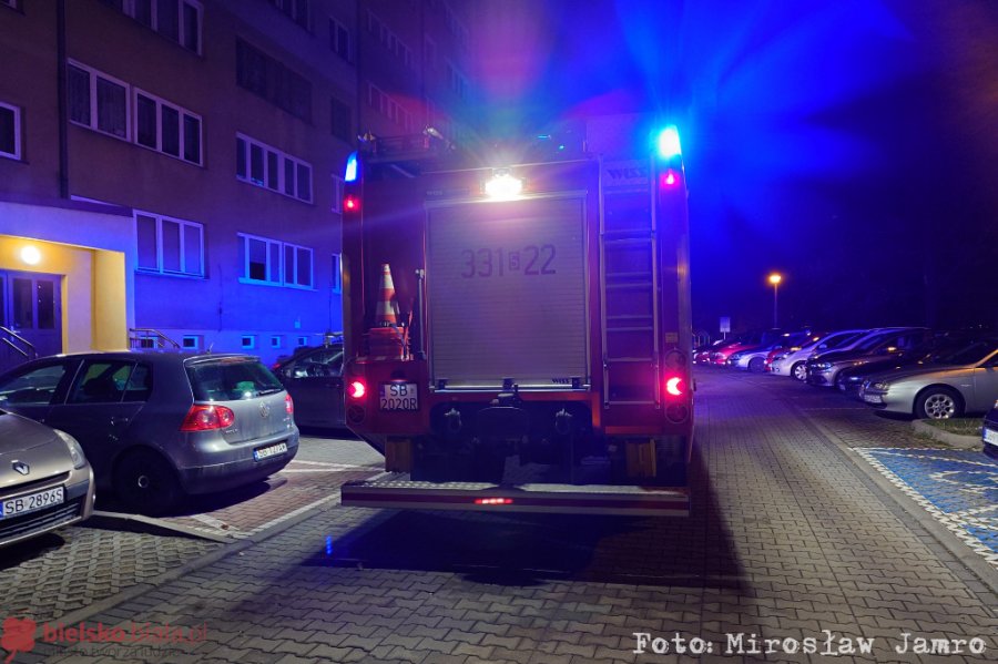 W mieszkaniu wieżowca szczekał pies, siłowo weszli do środka. Nie żyje lokatorka - foto