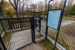 Jedyny wybieg dla psów w centrum w kiepskim stanie. „To wątpliwa wizytówka miasta”