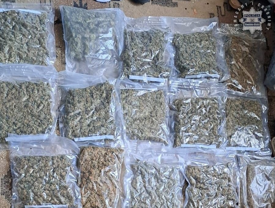 Bielscy kryminalni złapali kolejnego dilera. Zabezpieczyli prawie dwa kilogramy narkotyków - foto