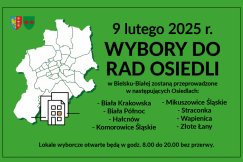 W niedzielę wybory. Wybieramy radnych w ośmiu bielskich osiedlach SZCZEGÓŁY