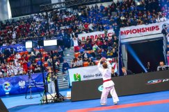 Bielsko-Biała przez trzy dni było europejską stolicą karate. Polacy z pięcioma medalami ZDJĘCIA