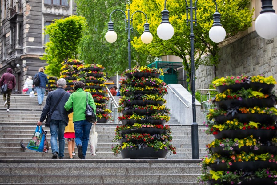 Urzędnicy myślą już o wiośnie. Do obsadzenia jest blisko 300 waz, donic i skrzynek - foto