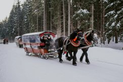 Najlepsze Kuligi w Beskidach. Zbójnicka przygoda czeka właśnie na Ciebie!