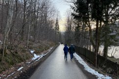 Ekologiczny problem w Wapienicy. Migrujące i będące pod ochroną płazy giną w natłoku turystów