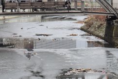 Niski poziom Białej ujawnił katastrofalny stan rzeki. „Wygląda to tragicznie” - foto