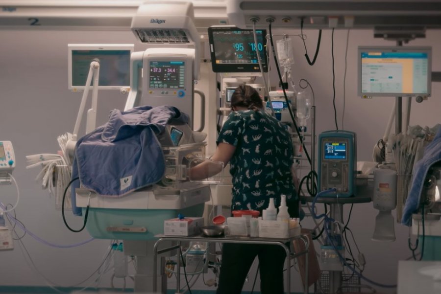 Jedyny taki oddział w całym regionie. Tu pomaga się skrajnym wcześniakom WIDEO