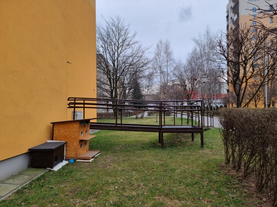 Z odruchu serca chcieli pomagać bezpańskim zwierzętom. Wyszła z tego afera na całe osiedle