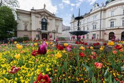 Bielsko-Biała rozkwitnie na wiosnę. Posadzonych zostanie m.in. 400 drzew i krzewów - foto