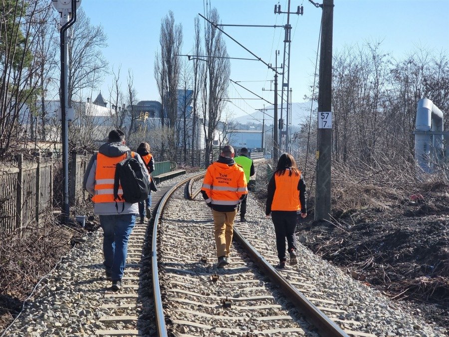 Dendrolog, urzędnicy i pracownicy PKP. Braliśmy udział w wizji lokalnej dotyczącej setek drzew