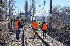 Dendrolog, urzędnicy i pracownicy PKP. Braliśmy udział w wizji lokalnej dotyczącej setek drzew
