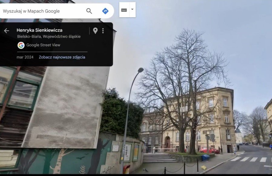 Miejska instytucja wytnie okazałego kasztanowca. Będzie nocne... czuwanie przy drzewie - foto