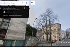 Miejska instytucja wytnie okazałego kasztanowca. Będzie nocne... czuwanie przy drzewie - foto