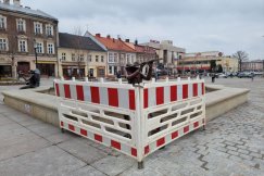 Żaba wróciła na plac. Rzeźby nie było pół roku, bo trwał spór pomiędzy jej współautorami - foto