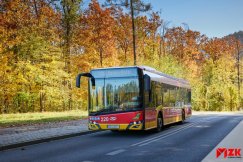 MZK z kontraktem na nowe autobusy. Nowoczesne pojazdy z napędem MHEV - foto